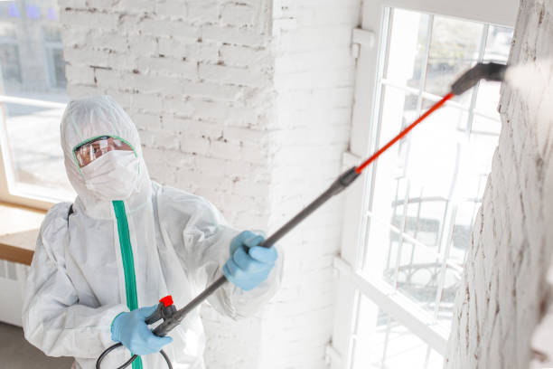 Best Commercial Mold Inspection  in Boonville, IN