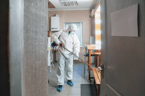 Best Asbestos and Lead Testing During Mold Inspection  in Boonville, IN