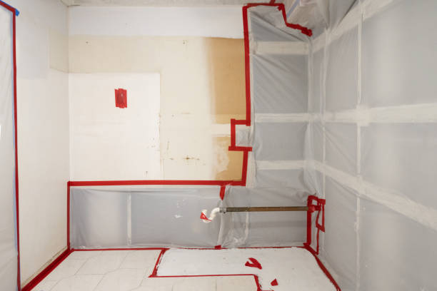 Best Post-Construction Mold Inspection  in Boonville, IN