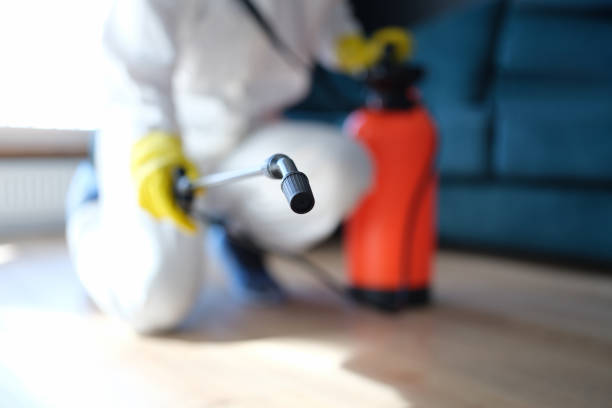 Best Emergency Mold Remediation  in Boonville, IN