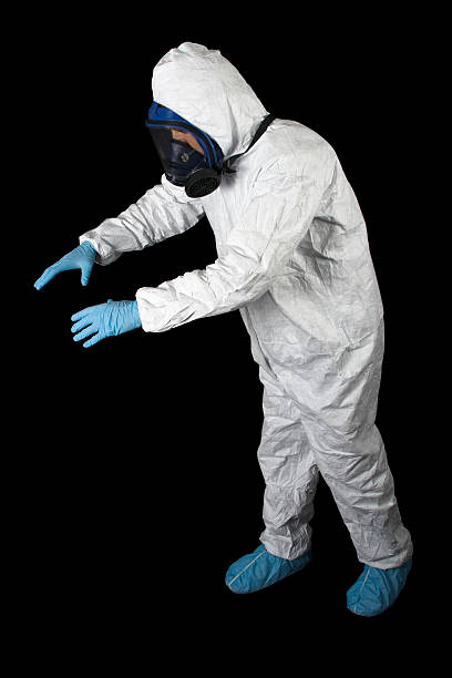 Best Basement Mold Removal  in Boonville, IN