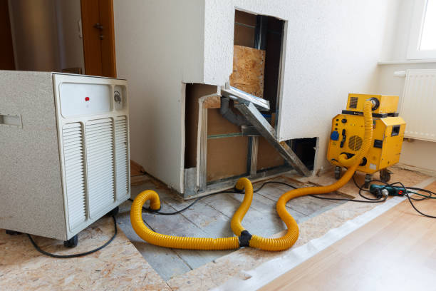 Best Attic Mold Removal  in Boonville, IN