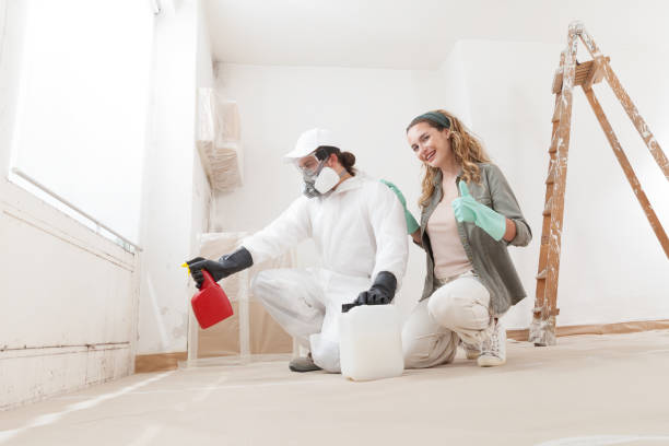 Best Residential Mold Inspection & Testing  in Boonville, IN