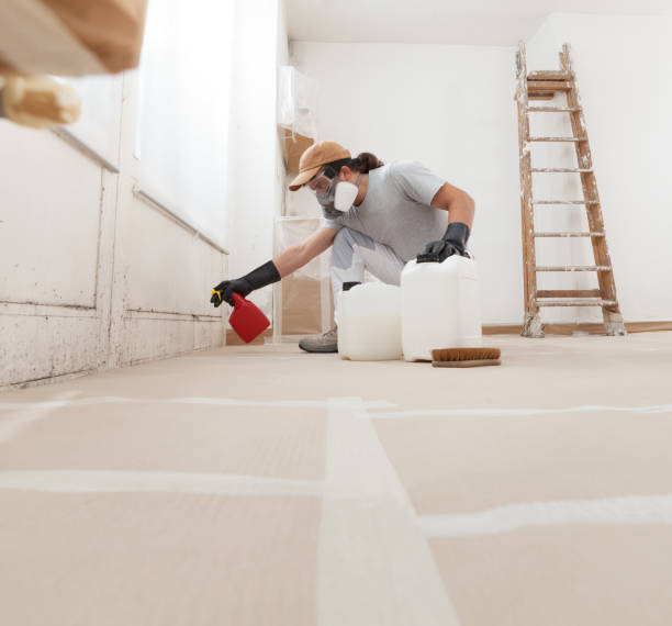 Reliable Boonville, IN Mold Removal Solutions